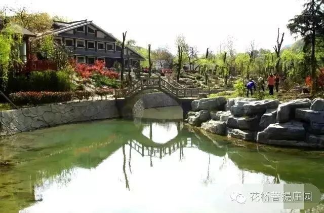 這個(gè)周末，隴南康縣花橋有大事要發(fā)生？