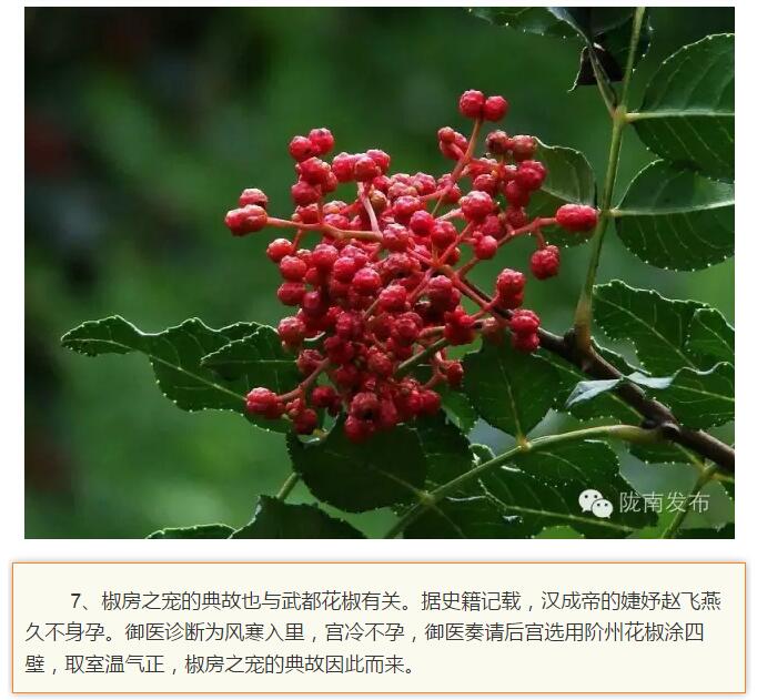 蘭渝鐵路最早由孫中山先生提出？在隴南，你不知道的事兒還有……