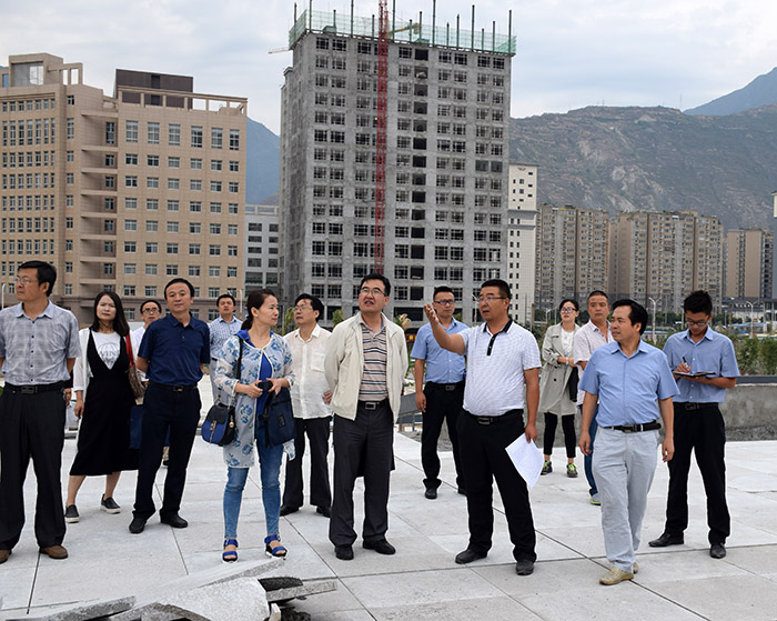 省、市聯(lián)合工作組蒞臨階州廣場檢查指導(dǎo)工作