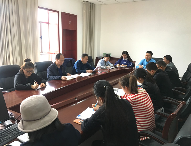 市龍江城鄉(xiāng)發(fā)展集團(tuán)專題學(xué)習(xí)近期中央、省、市紀(jì)律檢查委員會(huì)議精神