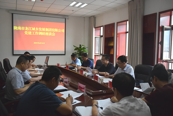 隴南市委常委、組織部部長楊郃調(diào)研指導(dǎo)市龍江城鄉(xiāng)發(fā)展集團(tuán)公司黨建工作