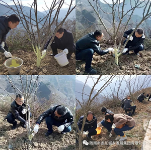 市龍江集團在文縣橋頭鎮(zhèn)安子坡村開展“解難題、辦實事、送溫暖”活動