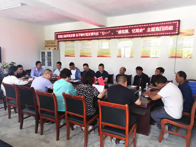 “感黨恩、憶黨史”，--市龍江城鄉(xiāng)發(fā)展集團公司開展慶祝建黨99周年主題黨日活動